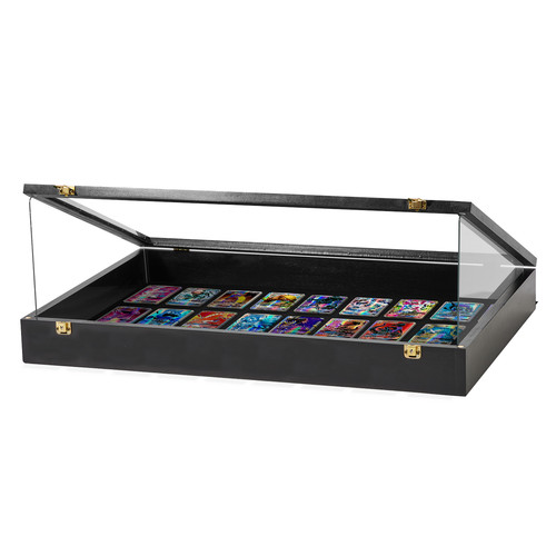 Trade show display case - display,