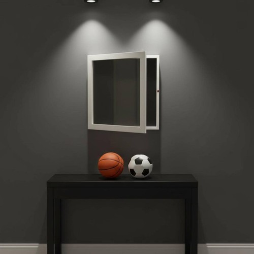 Attachable jersey display - jersey, case